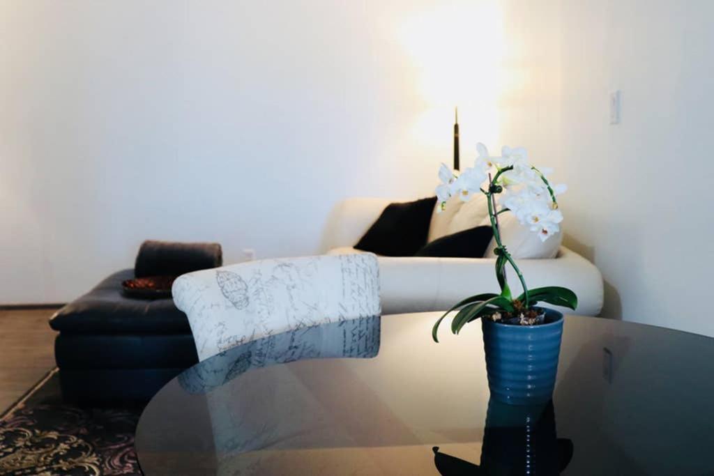Sun Dog Manor Appartement Maple Creek Buitenkant foto